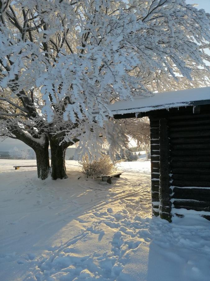 Familien-Hotel Am Traenkbachtal Frauenwald Eksteriør bilde
